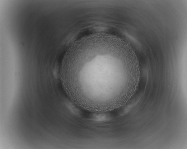 X0000115540181200911061507