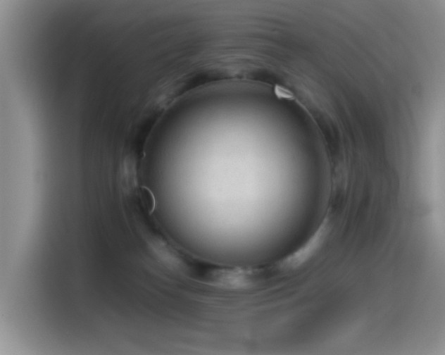 X0000115540182200911061507