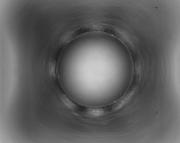 X0000115540185200911061507