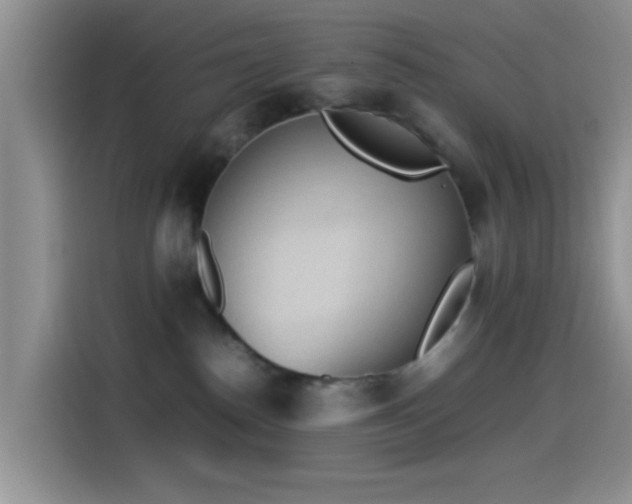 X0000115540186200911061507