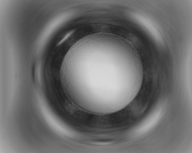 X0000115540189200911061507