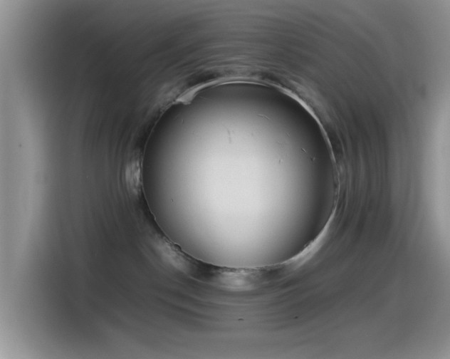 X0000115540190200911061507