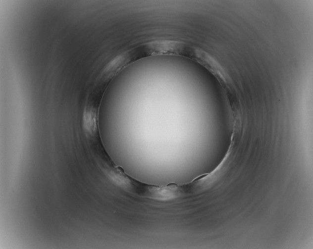 X0000115540191200911061507