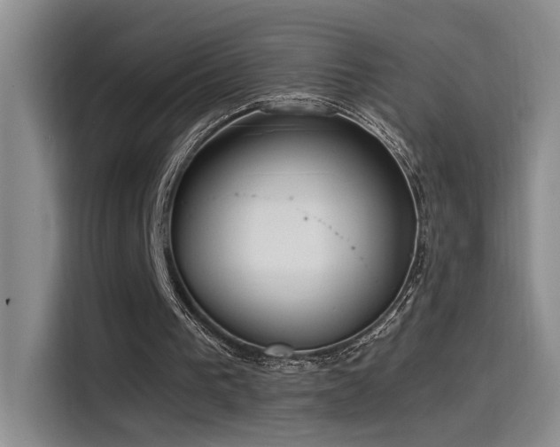 X0000115540193200911061507