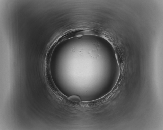 X0000115540194200911061507