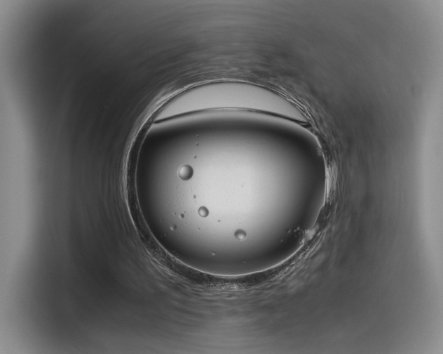 X0000115540195200911061507