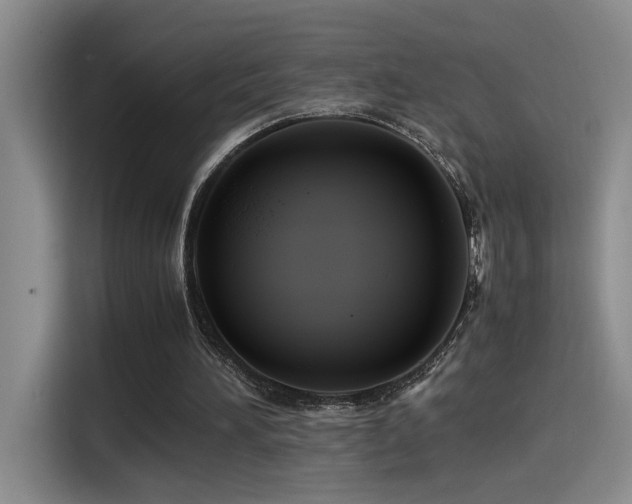 X0000115540196200911061507