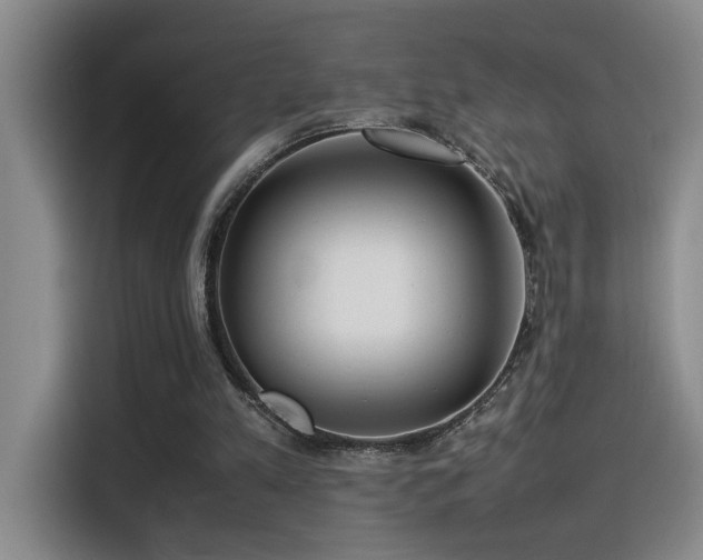 X0000115540197200911061507