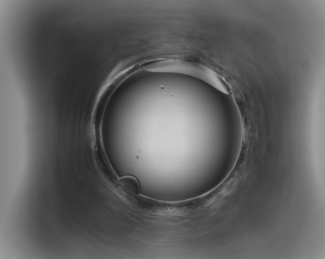 X0000115540198200911061507