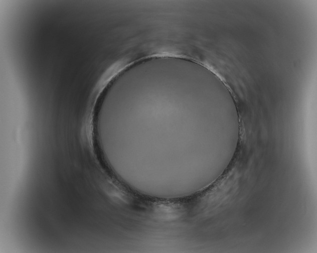 X0000115540199200911061507