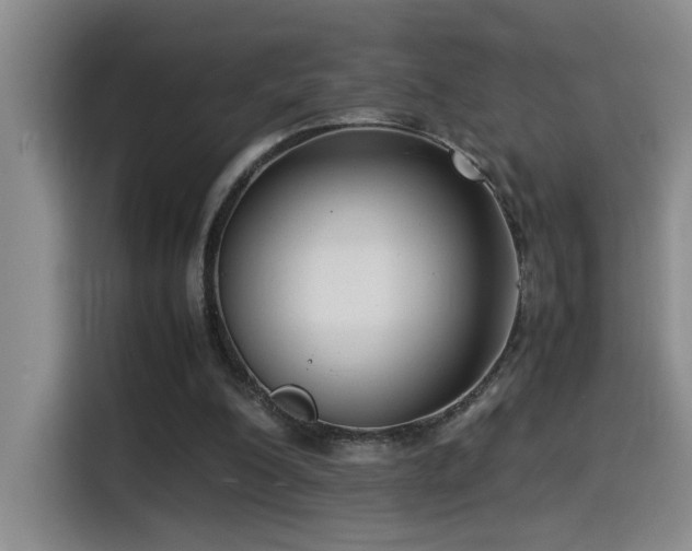 X0000115540200200911061507