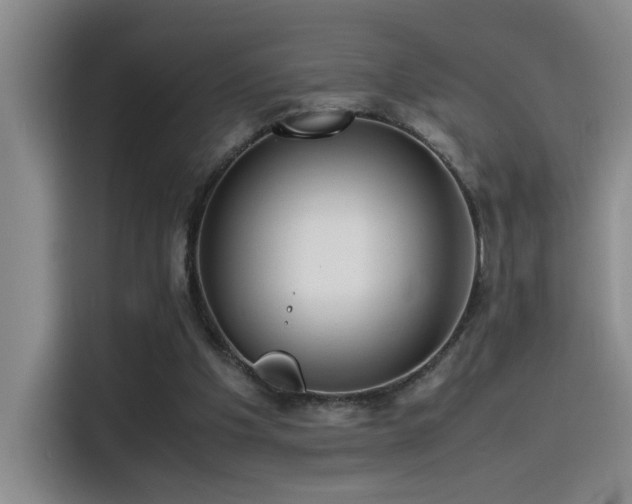 X0000115540201200911061507