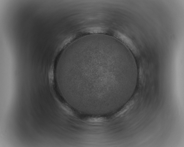 X0000115540202200911061507