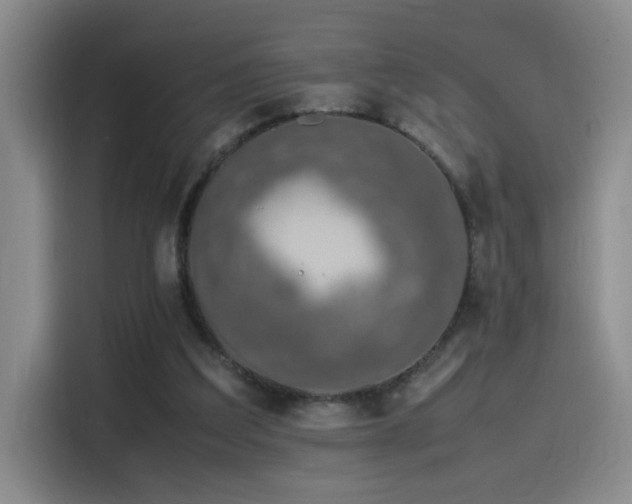 X0000115540203200911061507