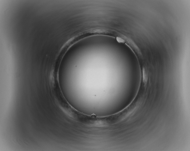 X0000115540204200911061507