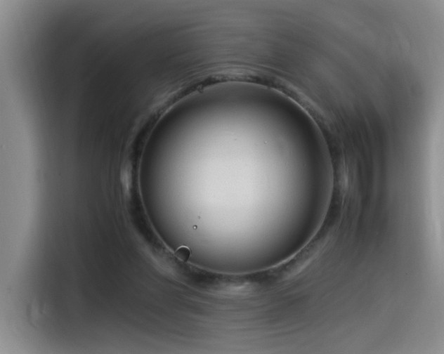 X0000115540206200911061507