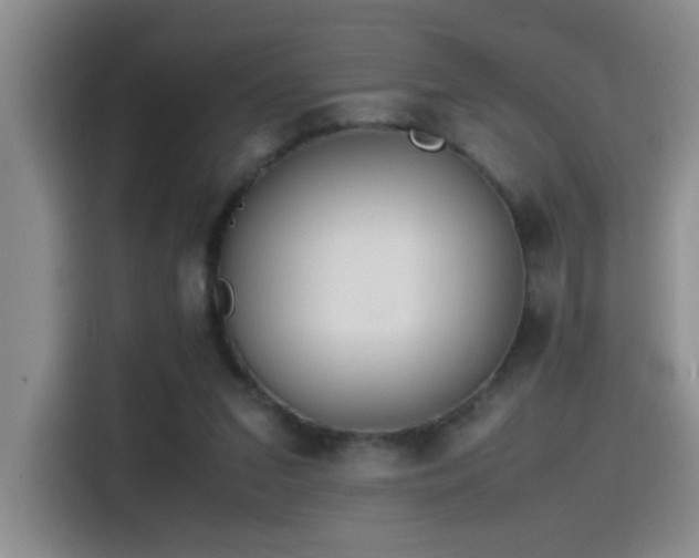 X0000115540207200911061507