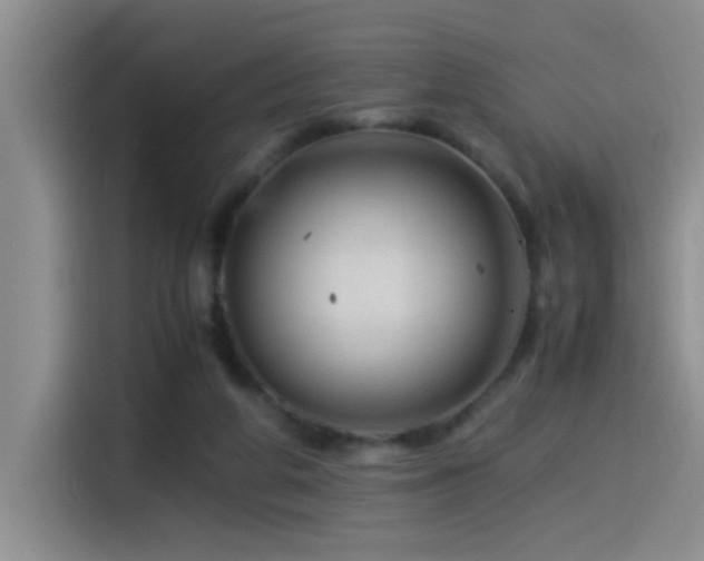 X0000115540210200911061507