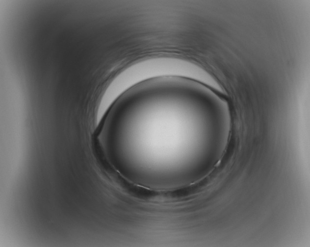 X0000115540211200911061507