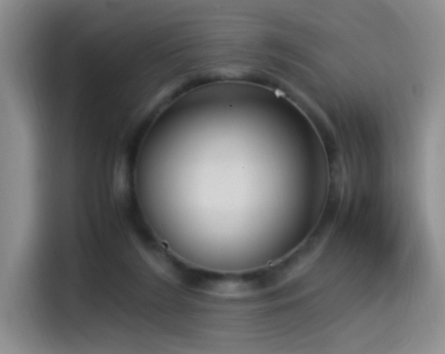 X0000115540212200911061507