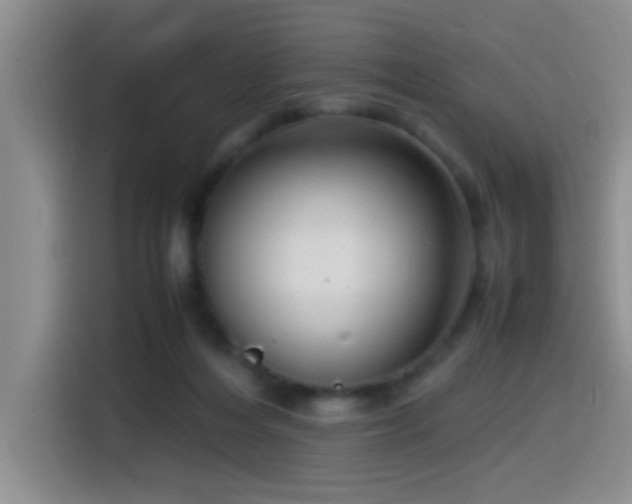 X0000115540216200911061507