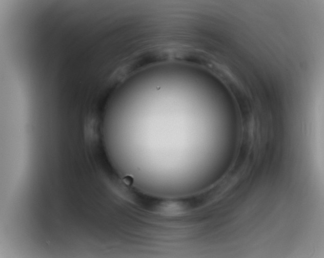 X0000115540218200911061507