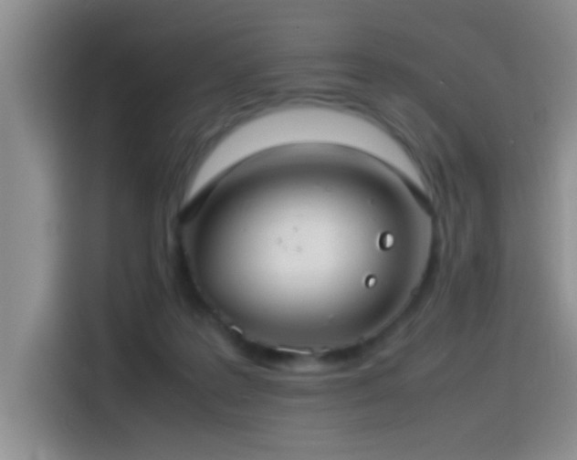 X0000115540219200911061506