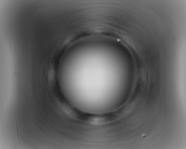 X0000115540220200911061506