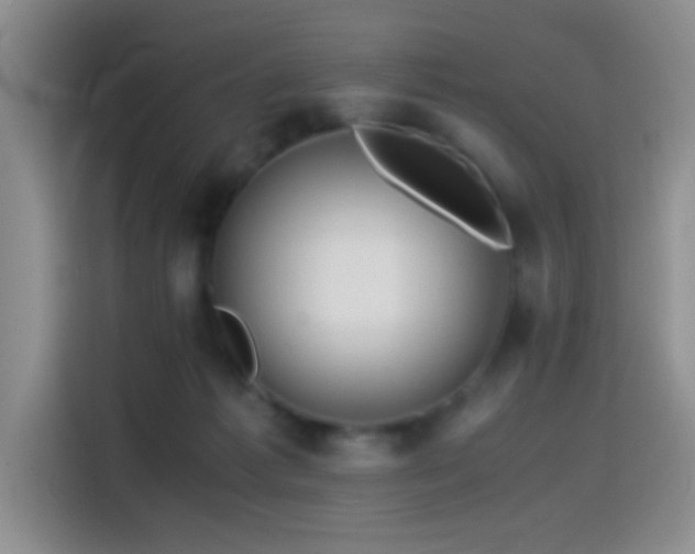 X0000115540221200911061506