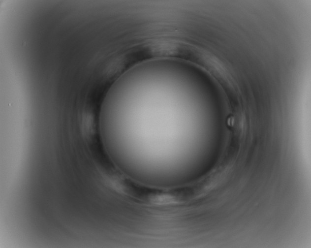 X0000115540224200911061506