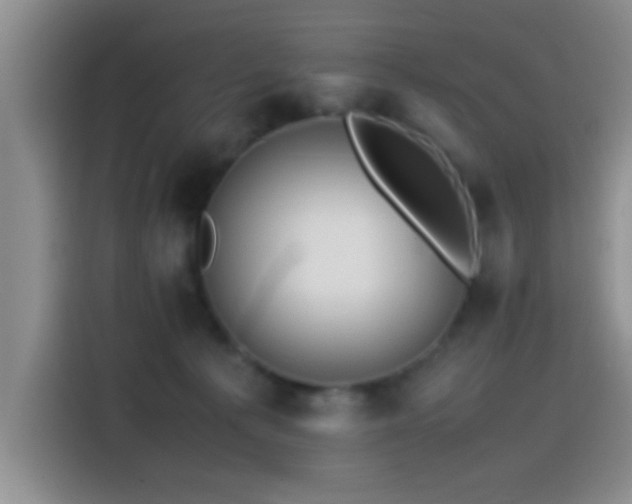 X0000115540225200911061506