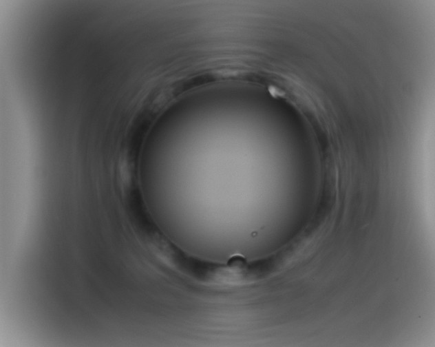 X0000115540227200911061506