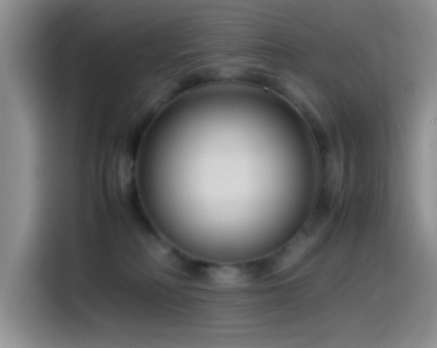 X0000115540230200911061506