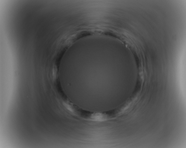 X0000115540231200911061506