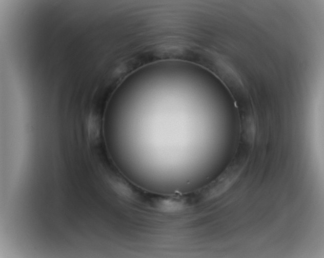 X0000115540232200911061506