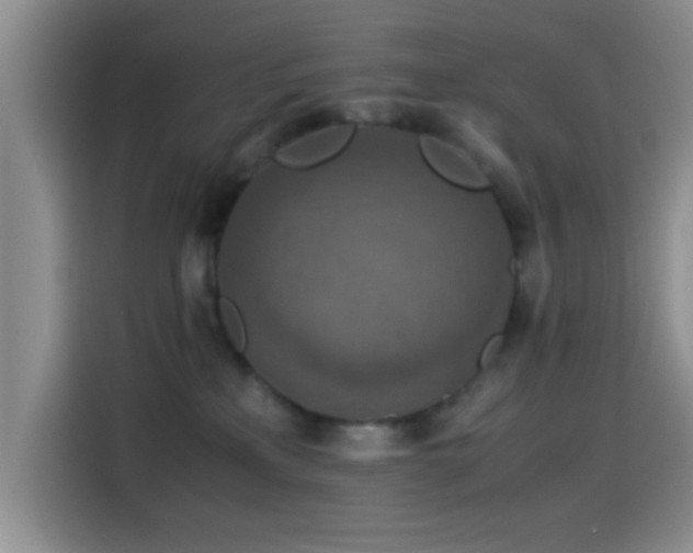 X0000115540233200911061506