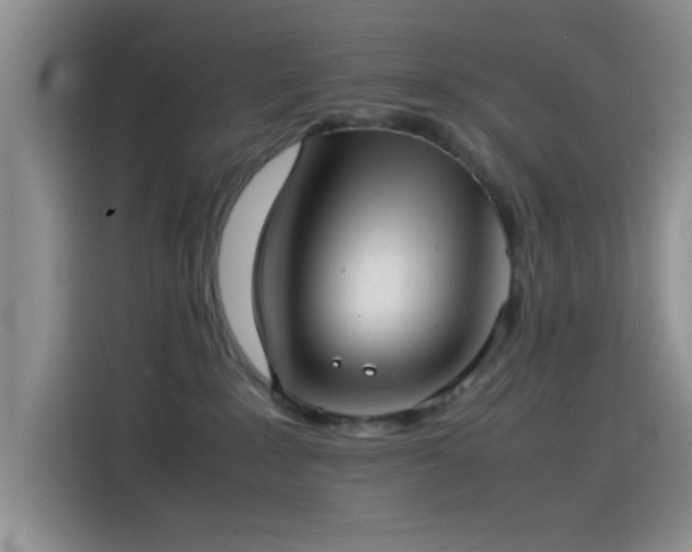 X0000115540235200911061506