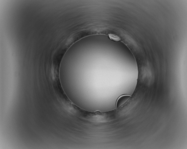 X0000115540236200911061506