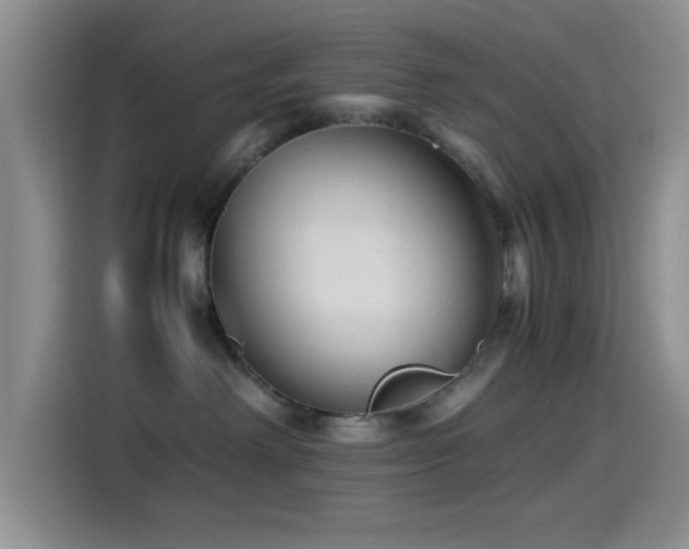 X0000115540238200911061506