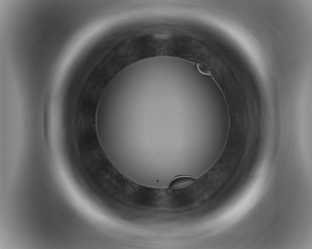 X0000115540239200911061506