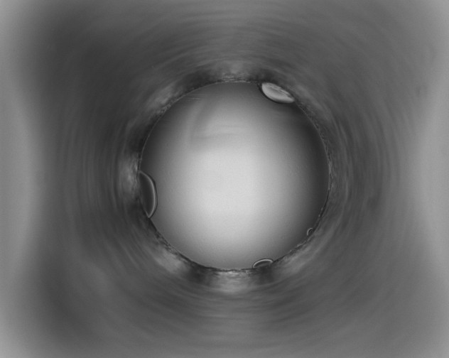 X0000115540240200911061506