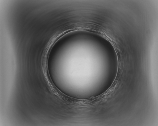 X0000115540241200911061506