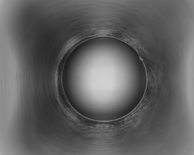 X0000115540242200911061506