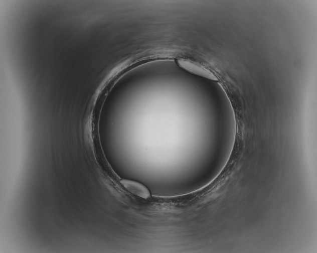 X0000115540244200911061506