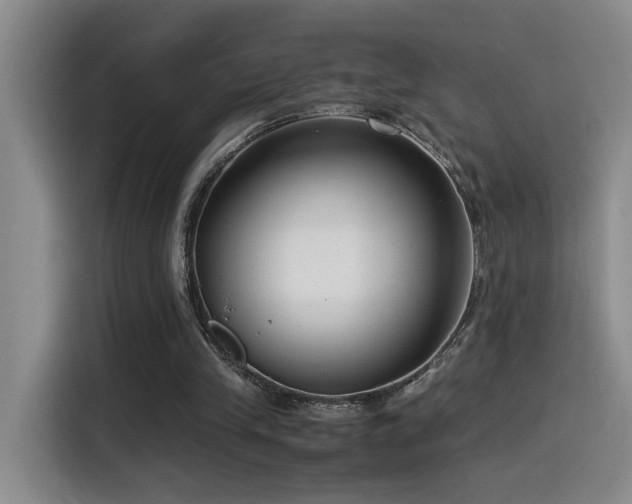 X0000115540245200911061506