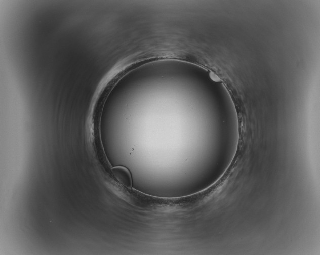 X0000115540246200911061506