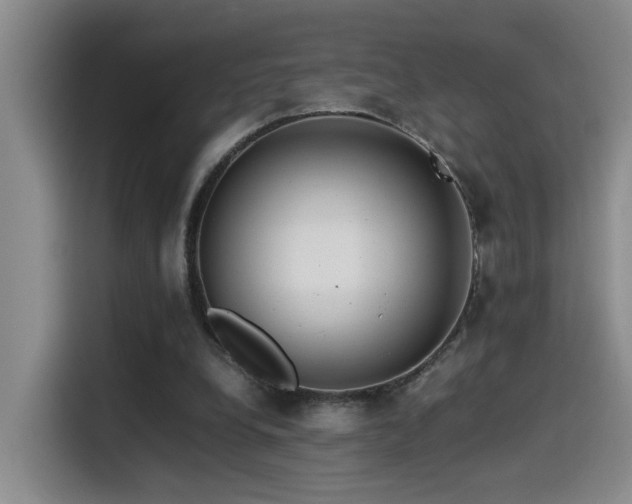 X0000115540248200911061506