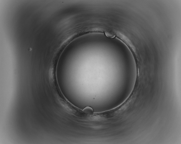 X0000115540249200911061506