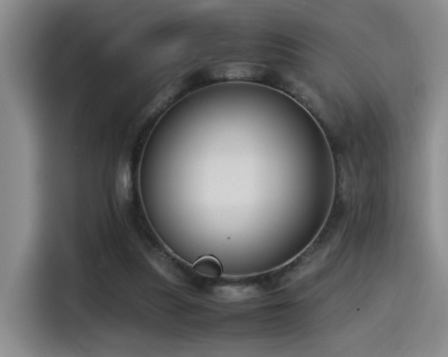 X0000115540251200911061506