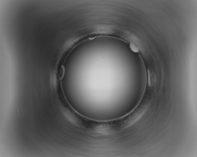 X0000115540252200911061506